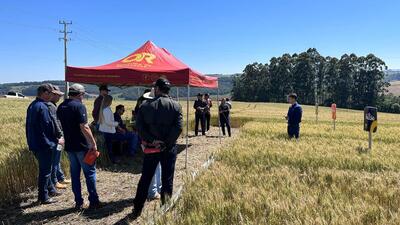Dia de Campo Coprossel reúne produtores e técnicos em Rio Bonito do Iguaçu